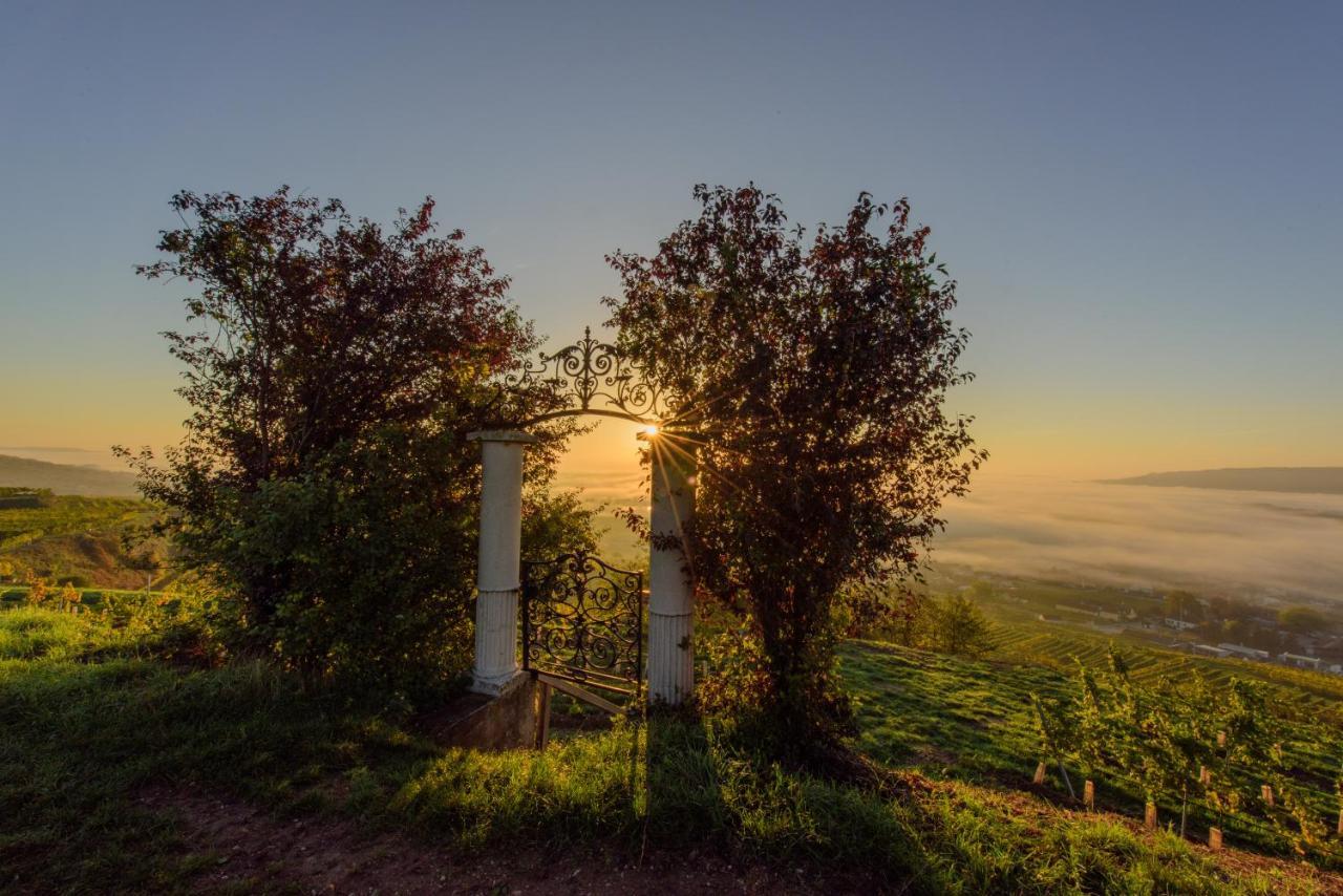 Gaestehaus Familie Trachsler Otel Rohrendorf bei Krems Dış mekan fotoğraf