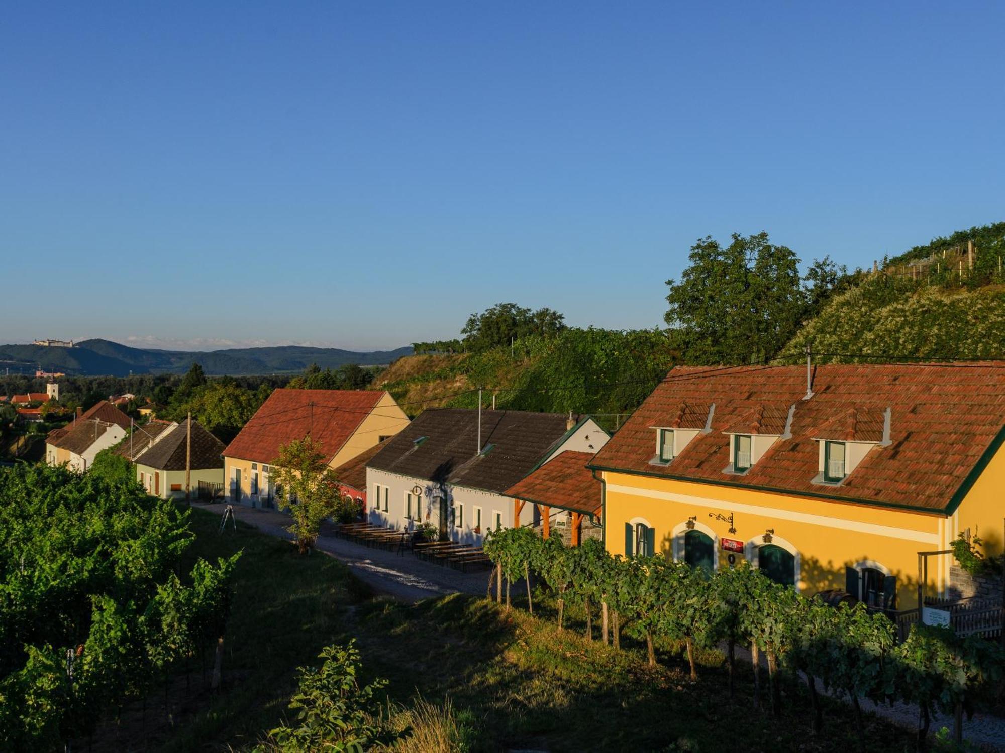 Gaestehaus Familie Trachsler Otel Rohrendorf bei Krems Dış mekan fotoğraf