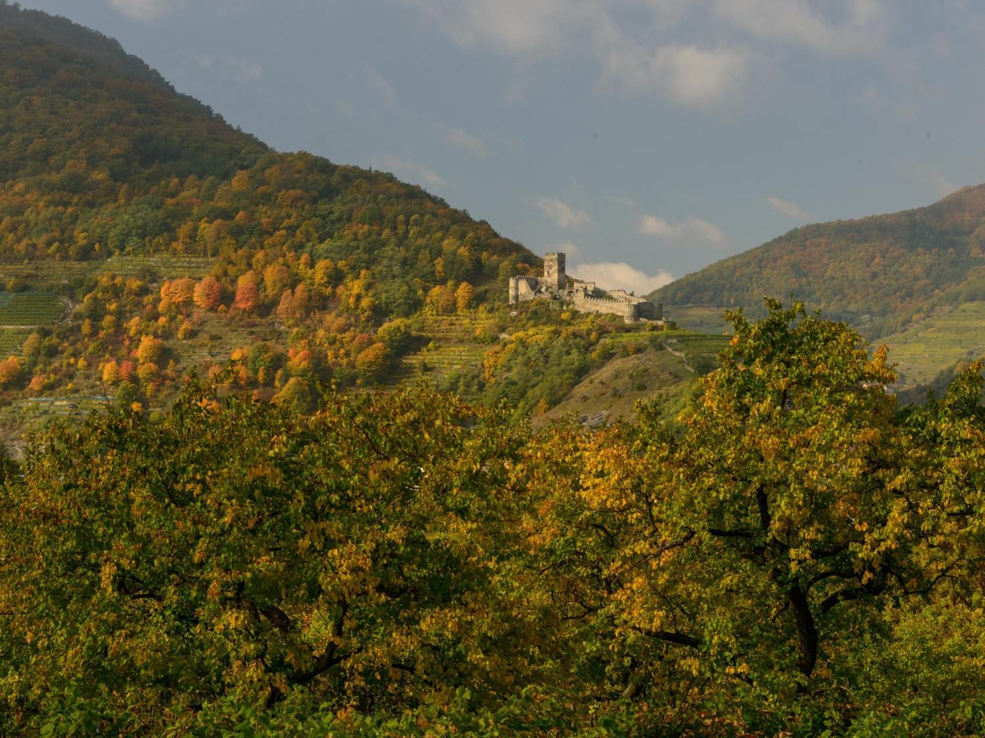 Gaestehaus Familie Trachsler Otel Rohrendorf bei Krems Dış mekan fotoğraf